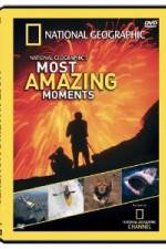 Watch National Geographic's Most Amazing Moments Zmovie