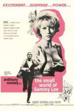 Watch The Small World of Sammy Lee Zmovie