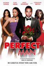 Watch The Perfect Man Zmovie