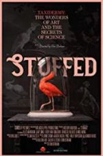 Watch Stuffed Zmovie