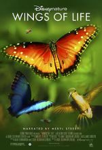 Watch Disneynature: Wings of Life Zmovie