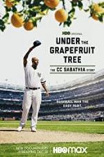 Watch Under the Grapefruit Tree: The CC Sabathia Story Zmovie