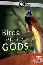 Watch Birds Of The Gods Zmovie