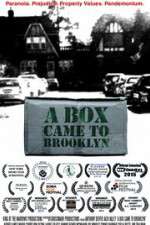 Watch A Box Came to Brooklyn Zmovie