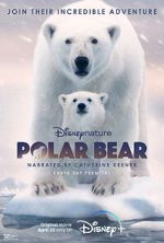 Watch Polar Bear Zmovie