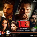 Watch Taish Zmovie