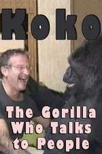 Watch Koko: The Gorilla Who Talks to People Zmovie