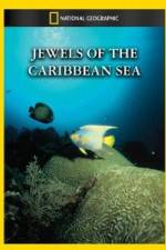 Watch National Geographic Jewels of the Caribbean Sea Zmovie