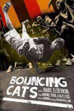 Watch Bouncing Cats Zmovie