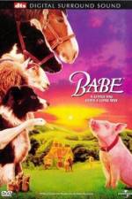 Watch Babe Zmovie