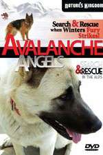 Watch Avalanche Angels Zmovie