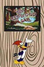 Watch The Redwood Sap (Short 1951) Zmovie