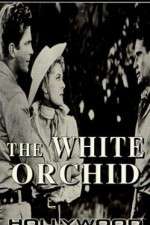 Watch The White Orchid Zmovie