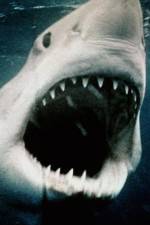 Watch Sharkmania: The Top 15 Biggest Baddest Bloodiest Bites Zmovie