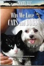 Watch Why We Love Cats And Dogs Zmovie