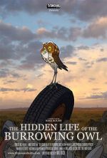 Watch The Hidden Life of the Burrowing Owl (Short 2008) Zmovie