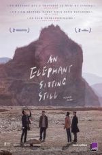 Watch An Elephant Sitting Still Zmovie