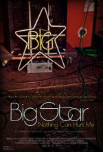 Watch Big Star: Nothing Can Hurt Me Zmovie