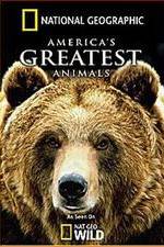 Watch America's Greatest Animals Zmovie