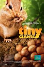 Watch Tiny Giants 3D Zmovie