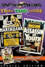 Watch Marihuana Zmovie