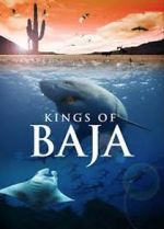 Watch Kings of Baja Zmovie