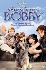 Watch Greyfriars Bobby The True Story of a Dog Zmovie