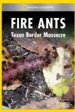 Watch National Geographic Fire Ants: Texas Border Massacre Zmovie