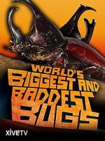 Watch World\'s Biggest and Baddest Bugs Zmovie