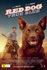 Watch Red Dog True Blue Zmovie