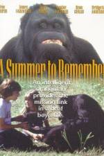 Watch A Summer to Remember Zmovie