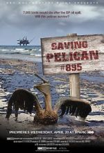 Watch Saving Pelican 895 (Short 2011) Zmovie