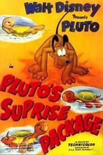 Watch Pluto\'s Surprise Package Zmovie