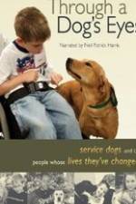 Watch Through a Dog's Eyes Zmovie