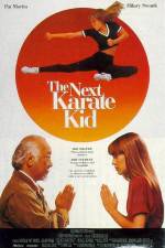 Watch The Next Karate Kid Zmovie