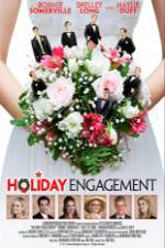 Watch Holiday Engagement Zmovie