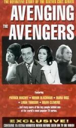 Watch Avenging the Avengers Zmovie