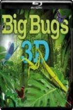 Watch Big Bugs in 3D Zmovie