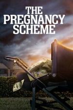 Watch The Pregnancy Scheme Zmovie