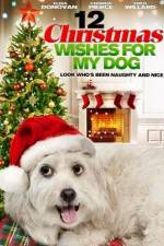 Watch 12 Christmas Wishes For My Dog Zmovie