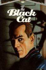 Watch The Black Cat Zmovie