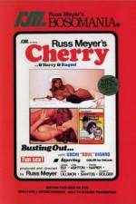 Watch Cherry Harry & Raquel Zmovie