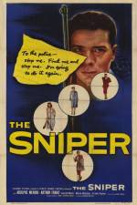 Watch The Sniper Zmovie