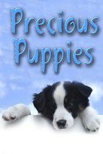 Watch Precious Puppies Zmovie