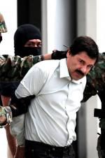 Watch The Rise and Fall of El Chapo Zmovie