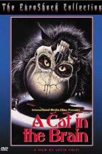 Watch Un gatto nel cervello Zmovie