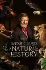 Watch Fantastic Beasts: A Natural History Zmovie