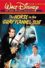 Watch The Horse in the Gray Flannel Suit Zmovie