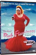 Watch Pink Flamingos Zmovie