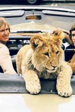 Watch The Lion Cub from Harrods Zmovie